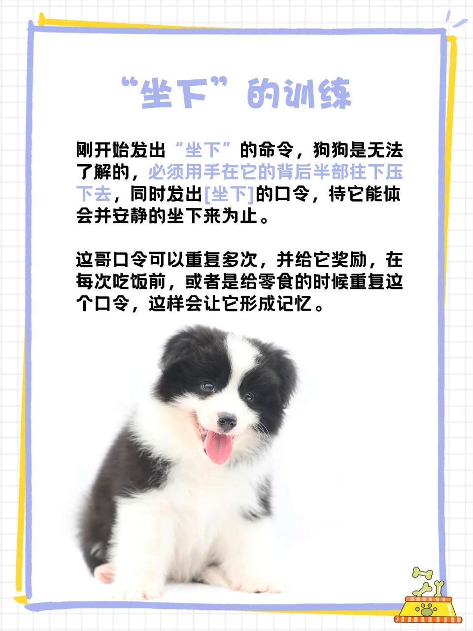 养边牧干货#边牧幼犬6大行为训练 边境牧羊犬训练方法,边牧训练教程 1