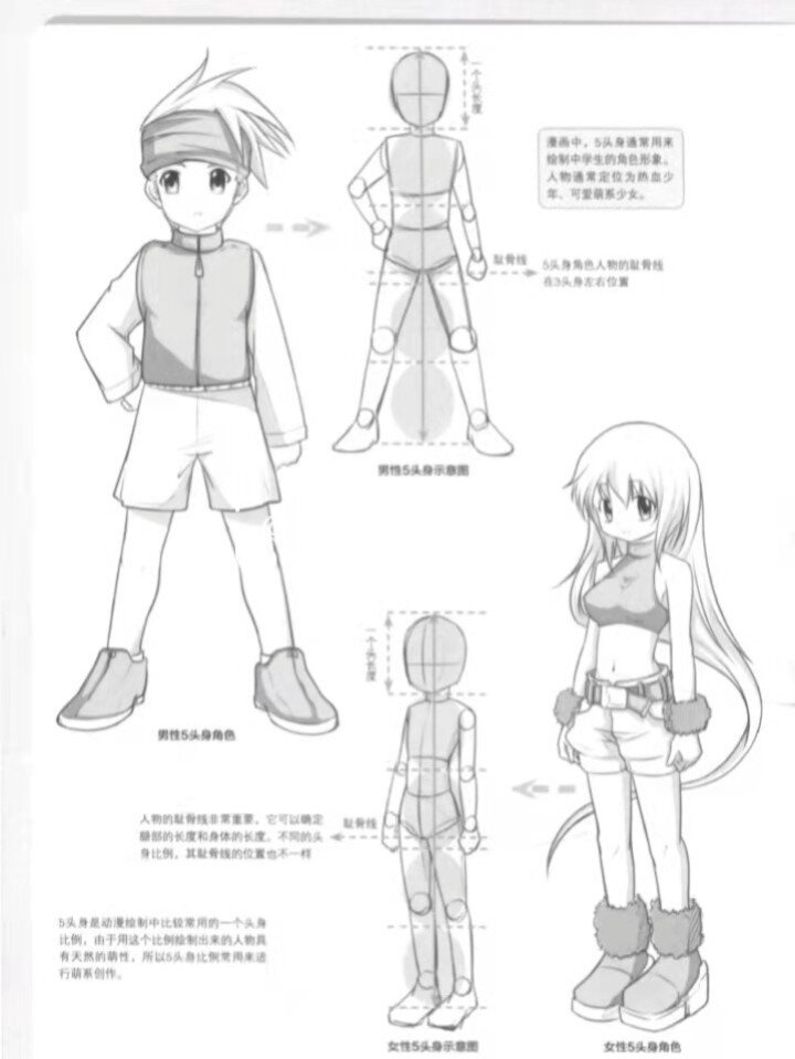 简单易懂 | 漫画入门-人体比例之男女头身比