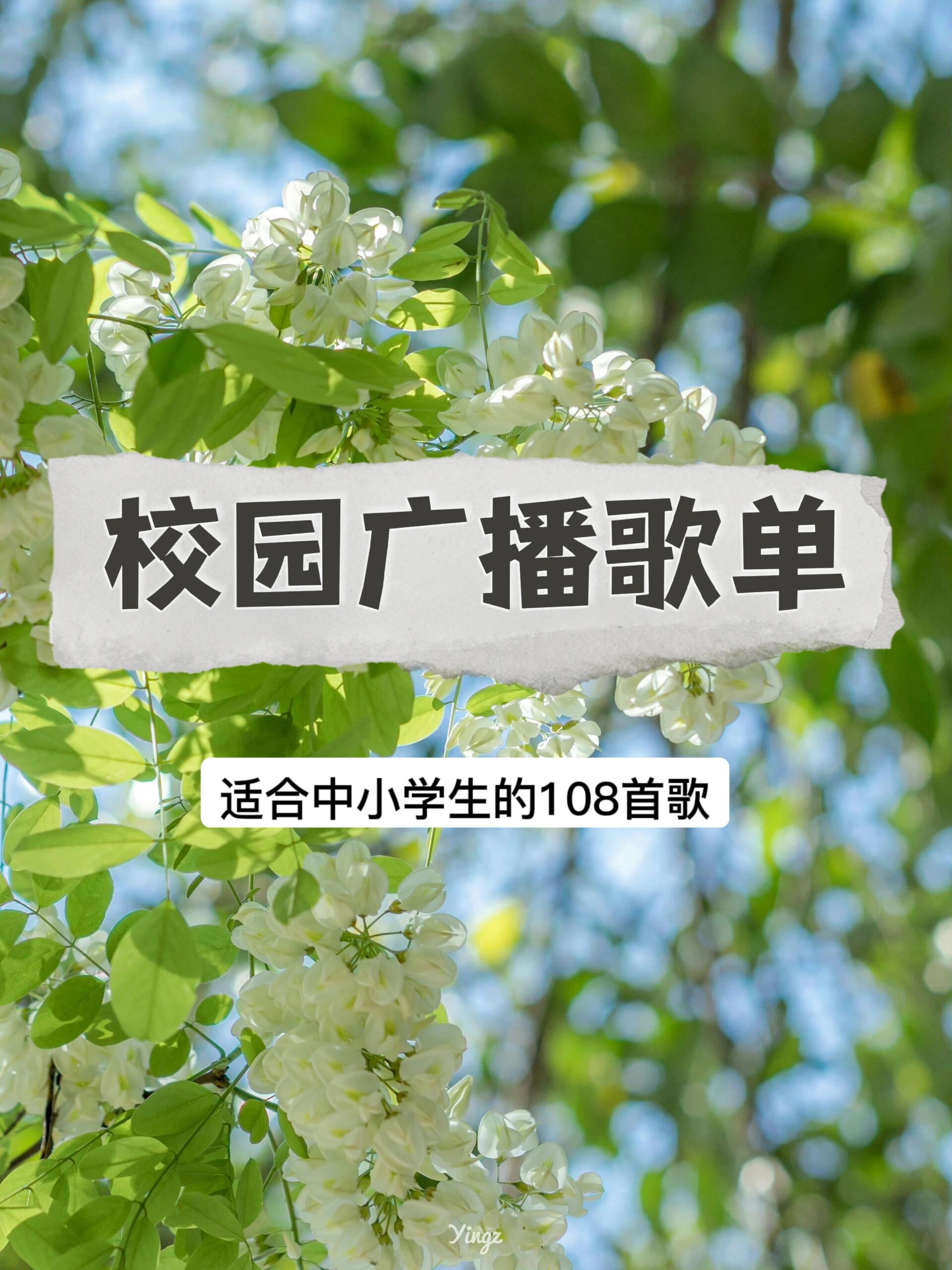 小学校园广播专用歌曲