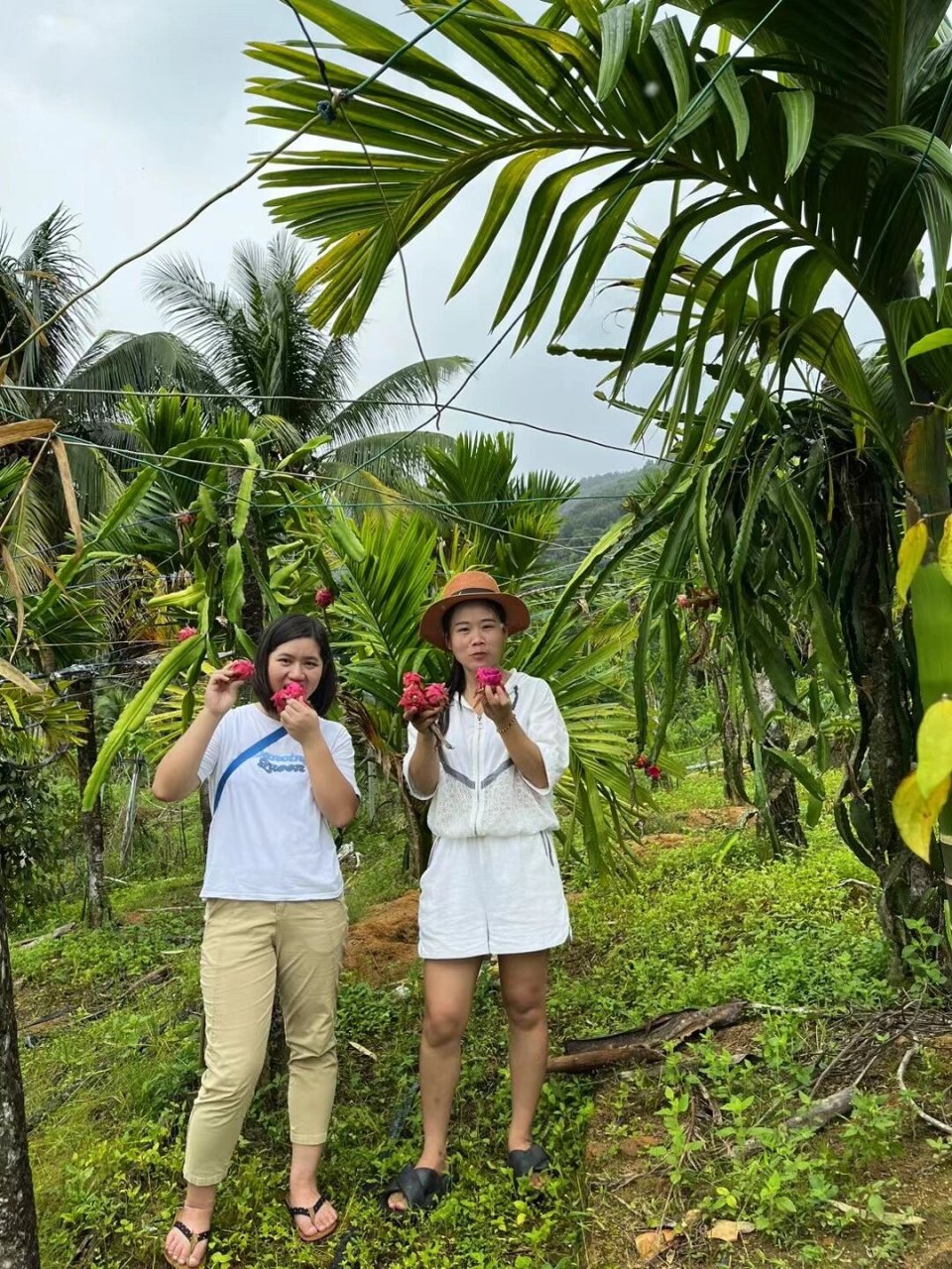 万宁南林农场 带村仔上山采山货咯