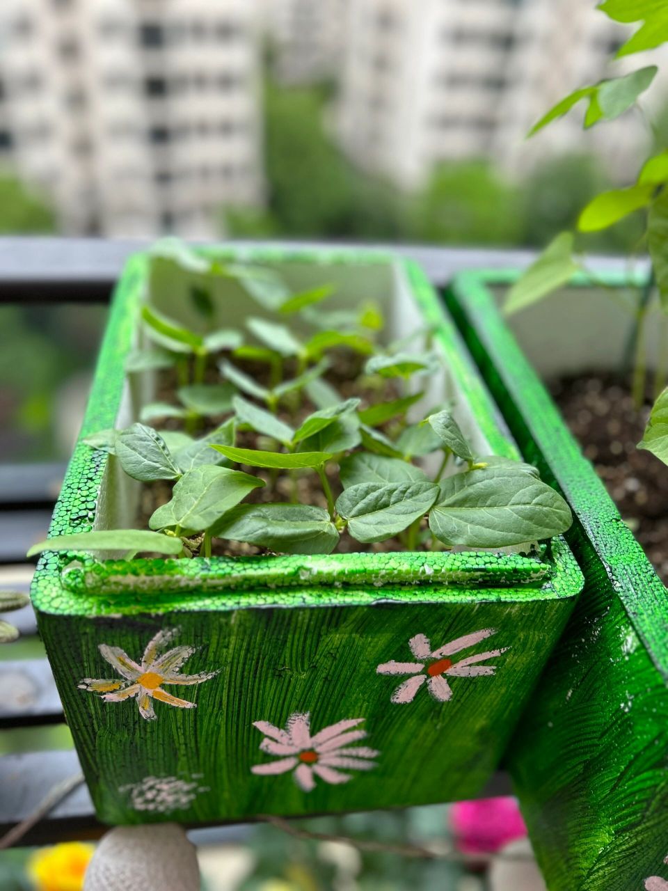 泡沫箱改造后美翻了   我是画画小白,乱画一通,还算满意,勿喷.