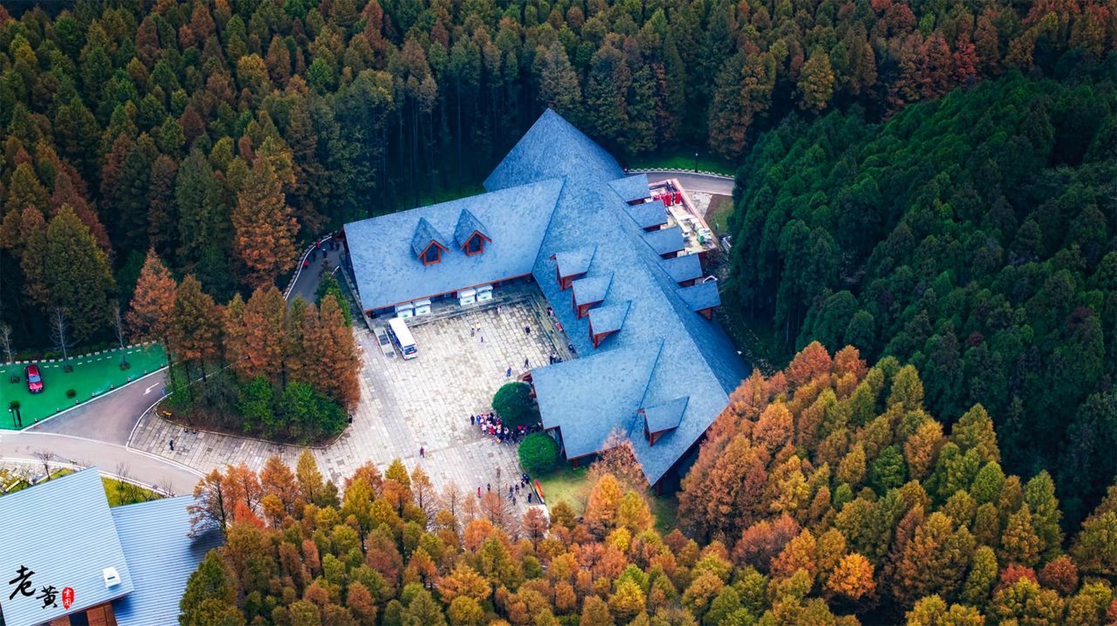 记录我的2023 位于重庆南川的山王坪景区,是一个充满自然魅力的地方.