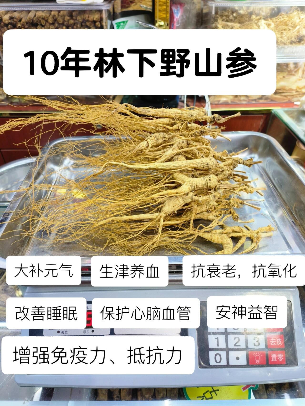 林下野山参 野山参功效和作用: 山参是百草之王.