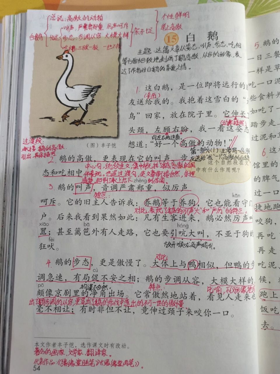 四年级下册语文第四单元15.《白鹅》 15.《白鹅》课堂笔记
