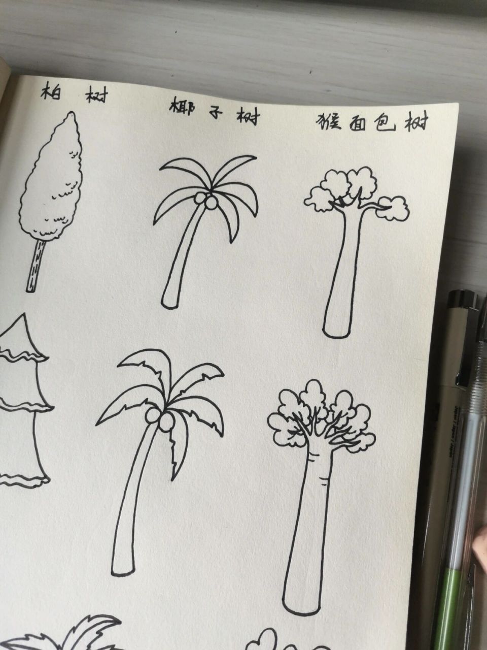 3种不同种类的树简笔画画法-原创31 柏树,椰子树,猴面包树的从简到难