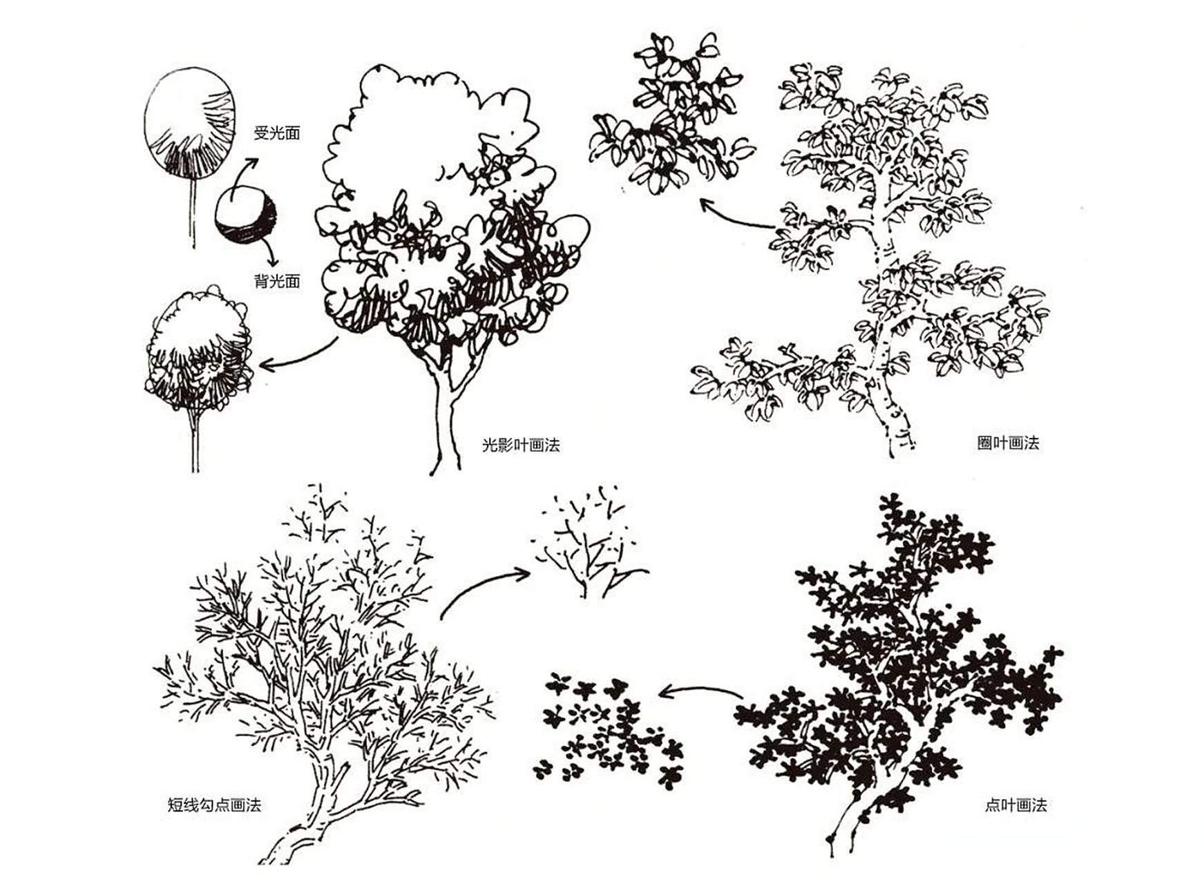 风景速写中树的画法,风景画中的黑白灰不同于素描的光影明暗调子,而是