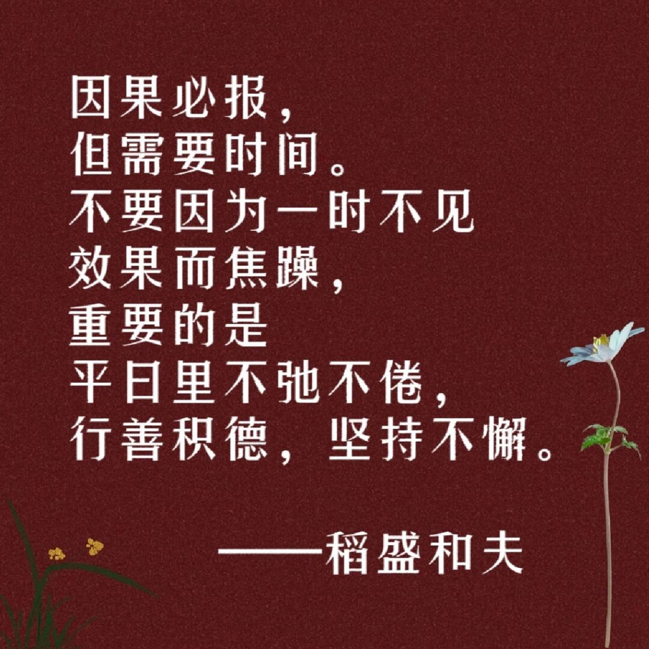 语录|行善积德,坚持不懈 因果必报,但需要时间.
