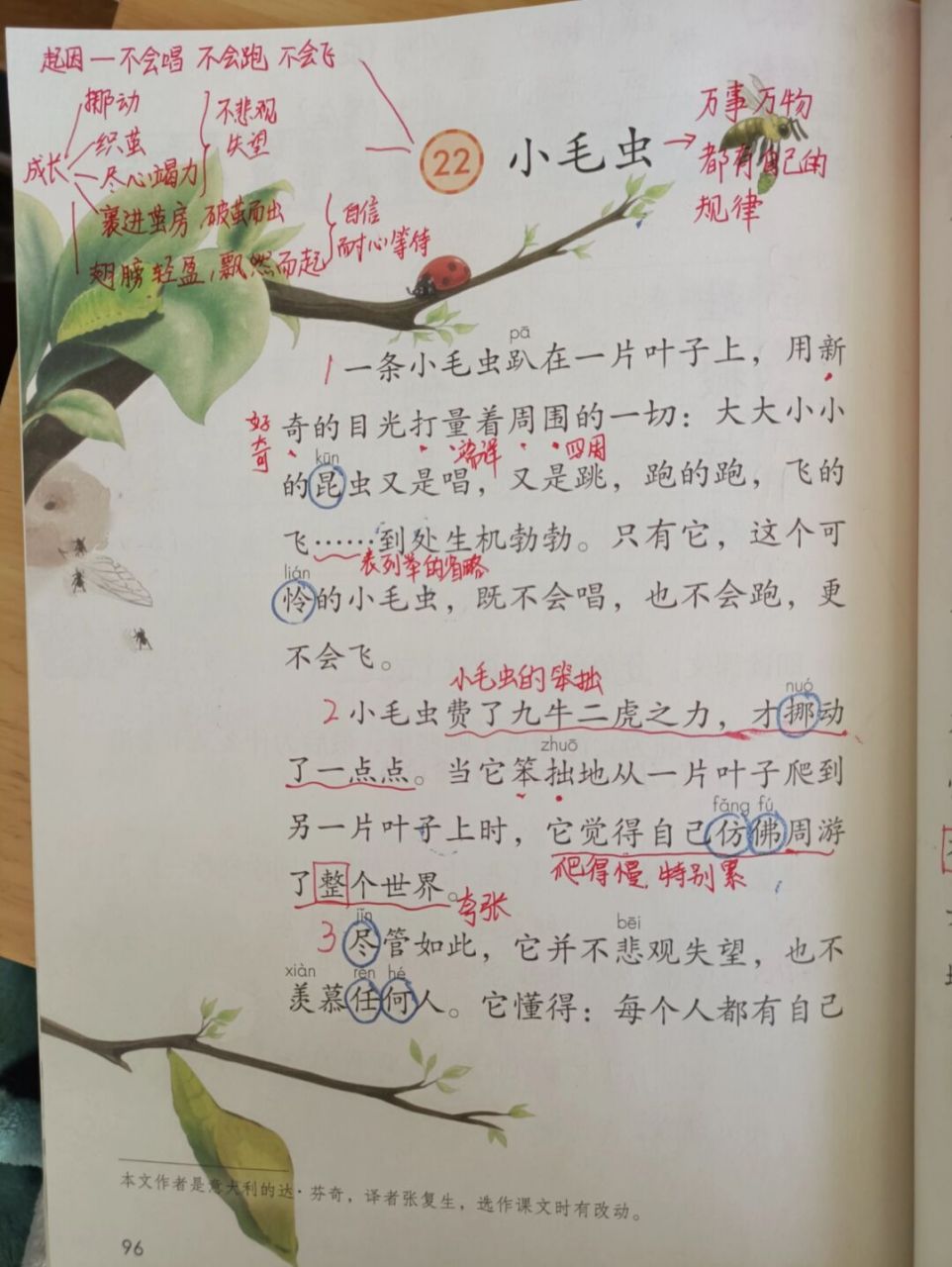 《小毛虫》预习课堂笔记备课 #教师备课# ##二年级语文# #预习# #课堂