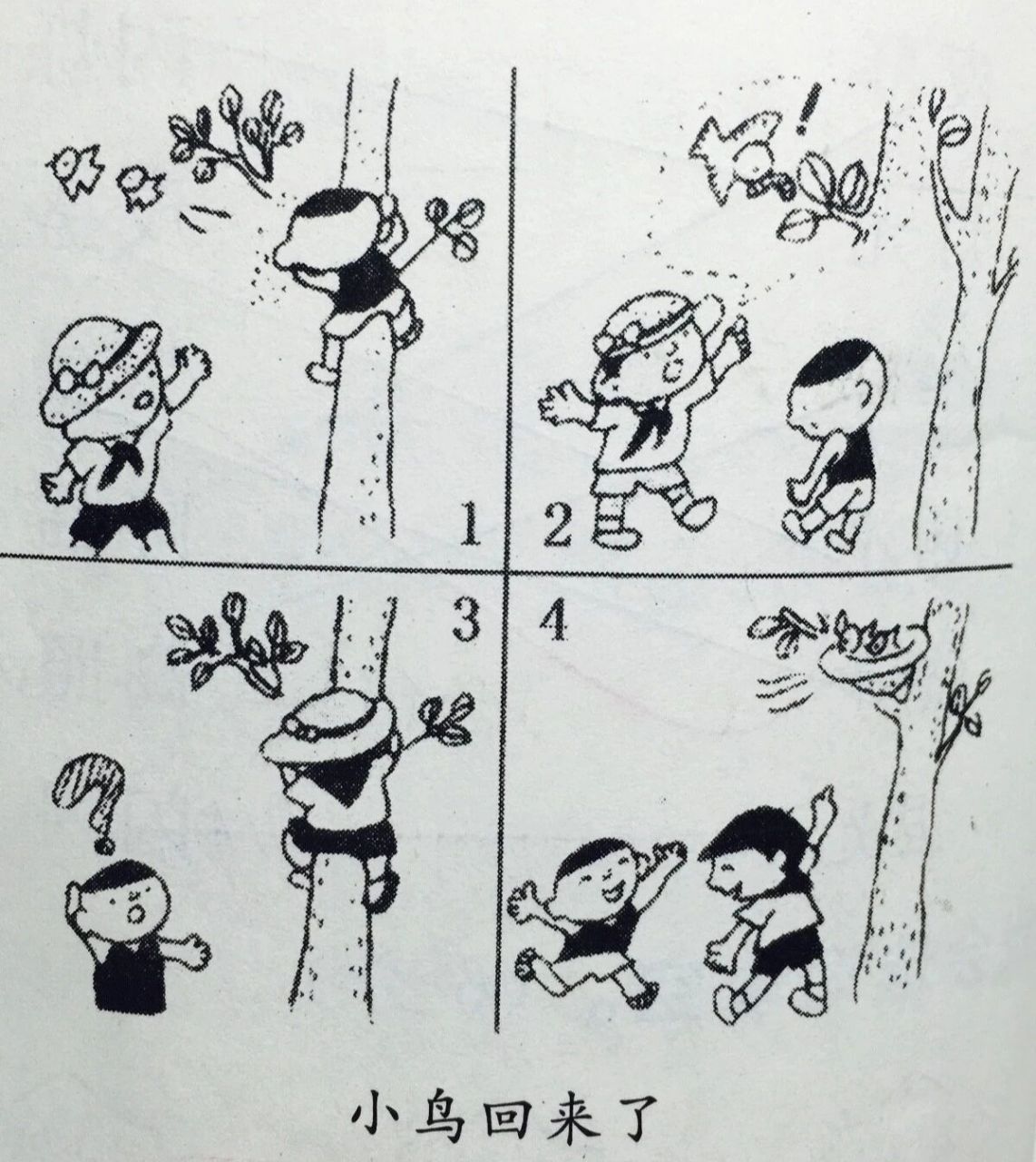 看图写话 小鸟回来了 空气清新的一天,小军看见树上有两只可爱的小鸟