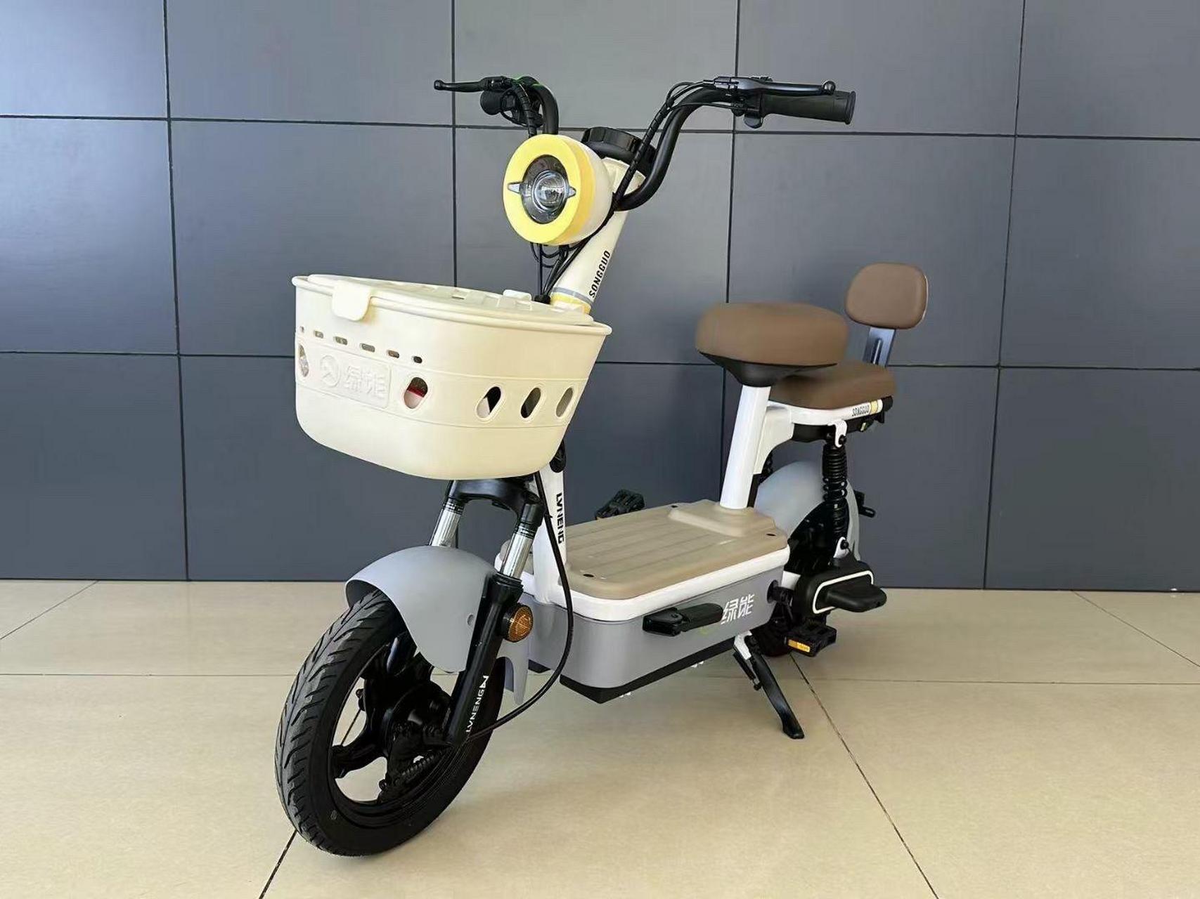 绿能小松果4块大电池