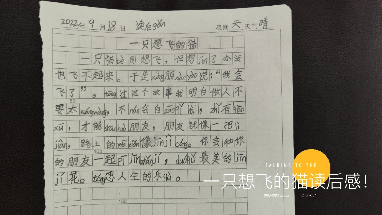 想飞的猫读后感
  第1张