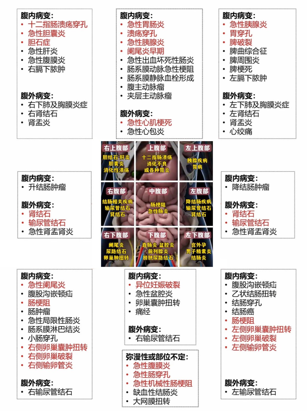 指肠溃疡是哪个地方疼肠胃疼的位置腹部疾病图解大全脾脏疼痛斯胃普