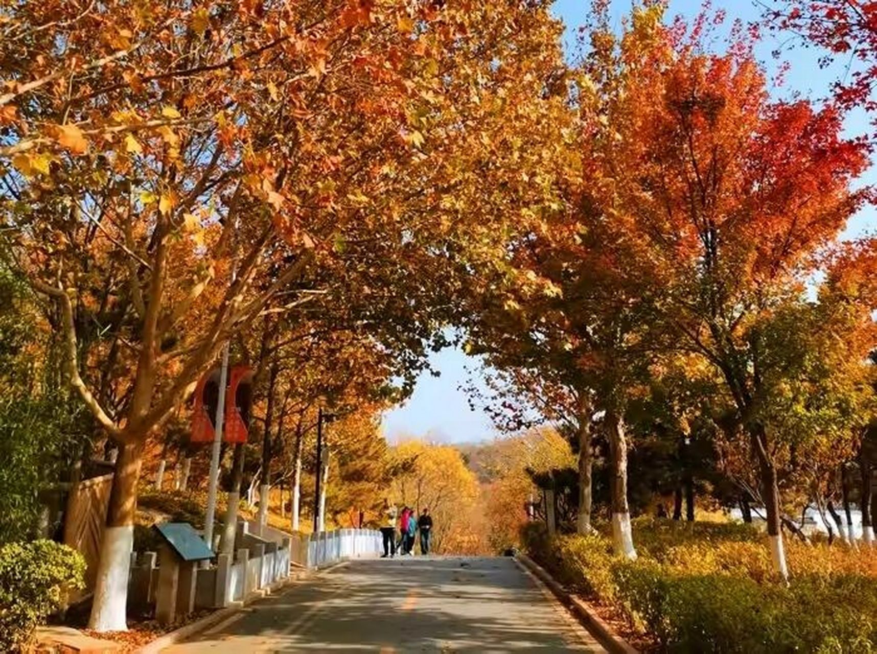 走进北京北宫国家森林公园 北宫国家森林公园位于丰台区的最高峰一