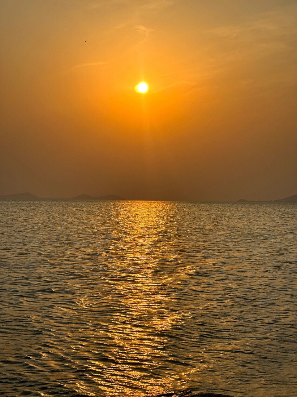 苏州 | 阴山岛7215村前的大树 阴山岛7215坐落在苏州西山岛上