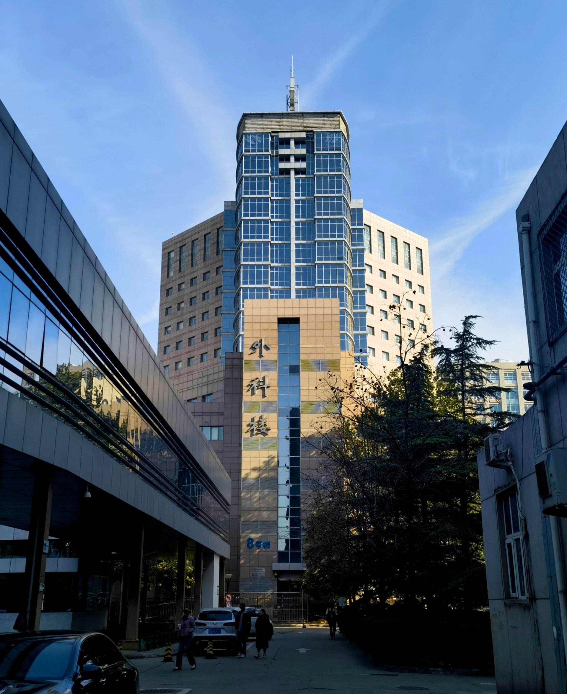 北京腫瘤醫院、全程透明收費號販子辦提前辦理掛號住院的簡單介紹