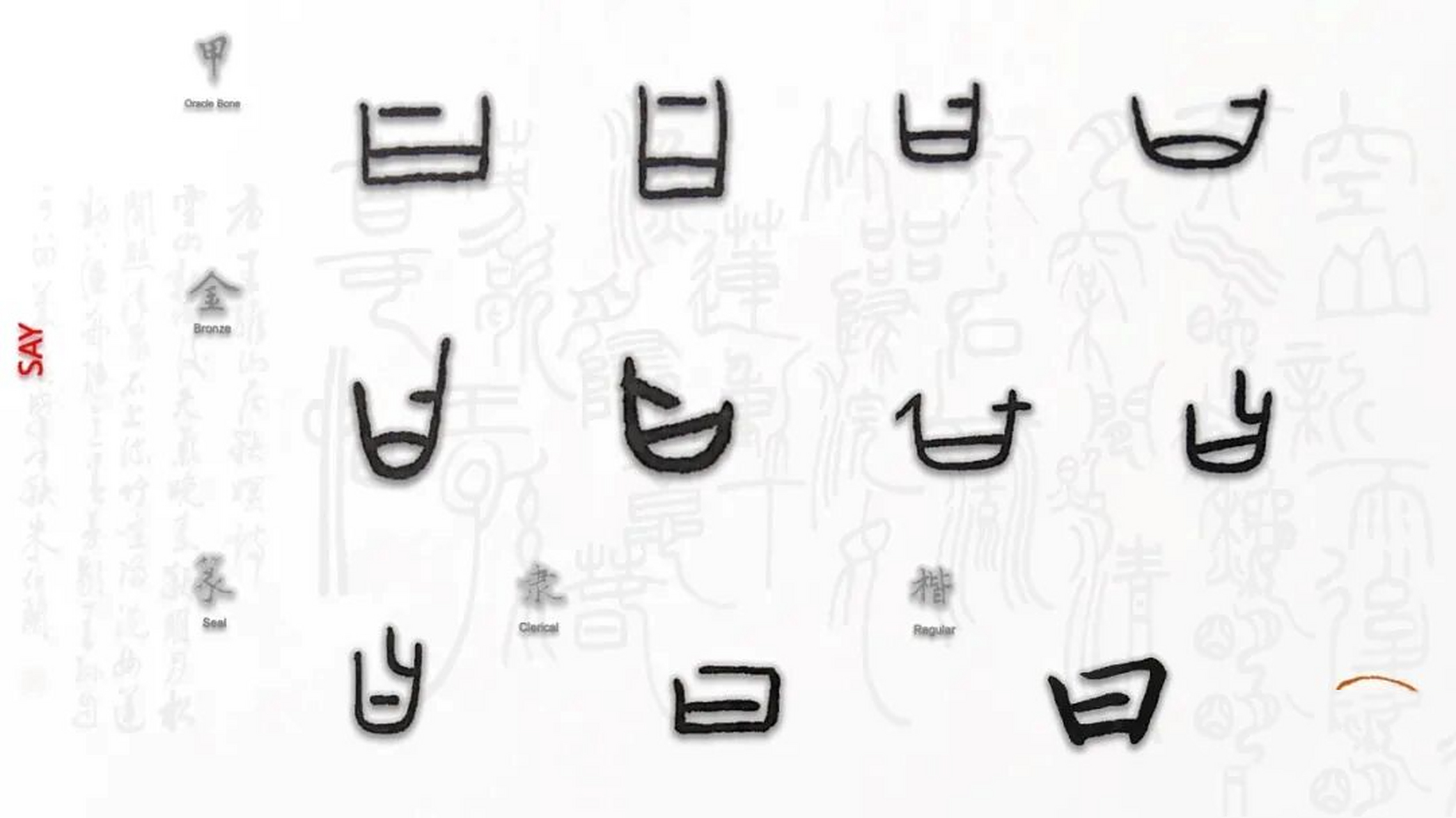 甲骨文的"曰"字有多款不同的写法,其构形下部都是一个"口"(意为嘴巴)