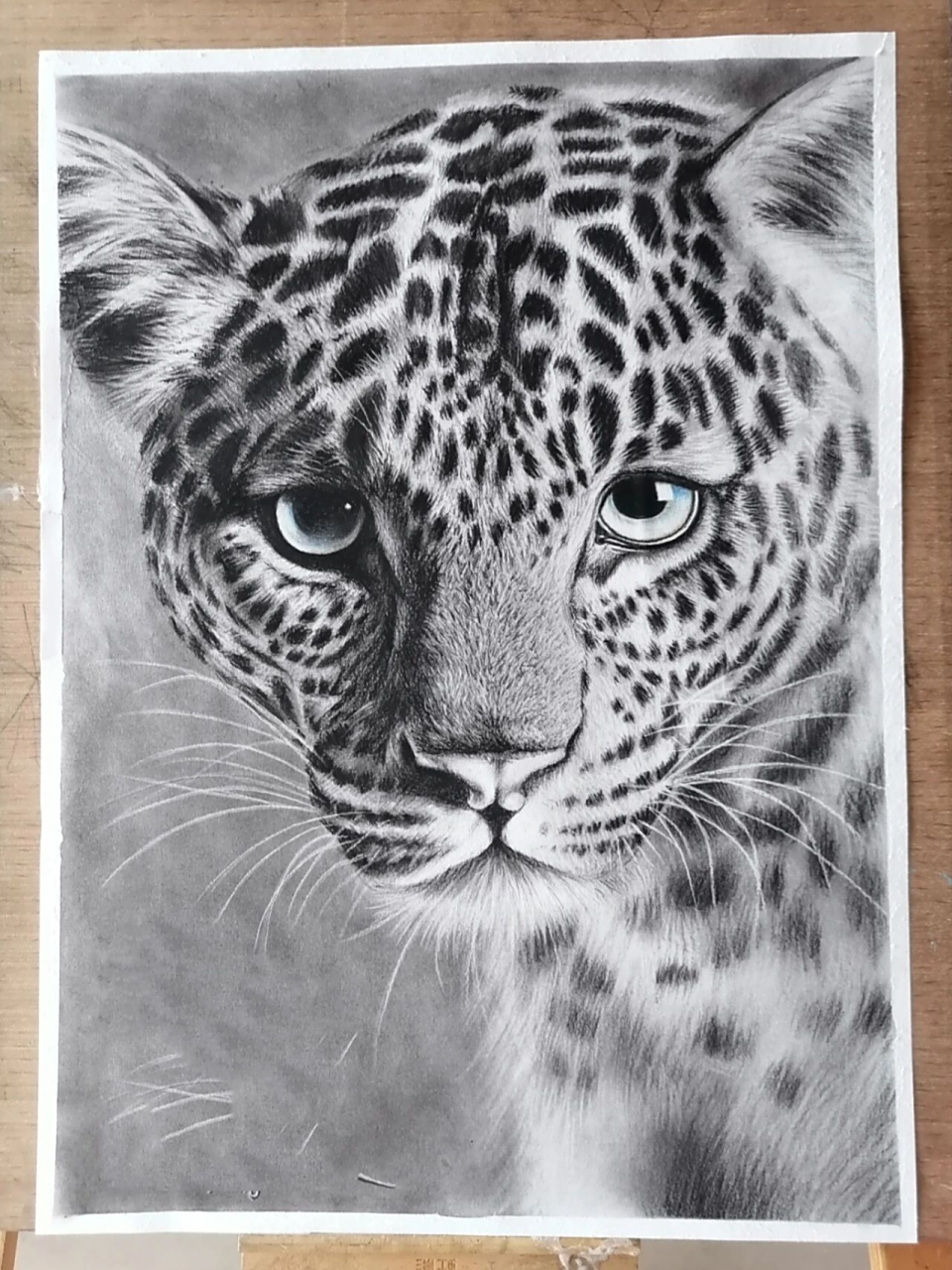 素描～豹子