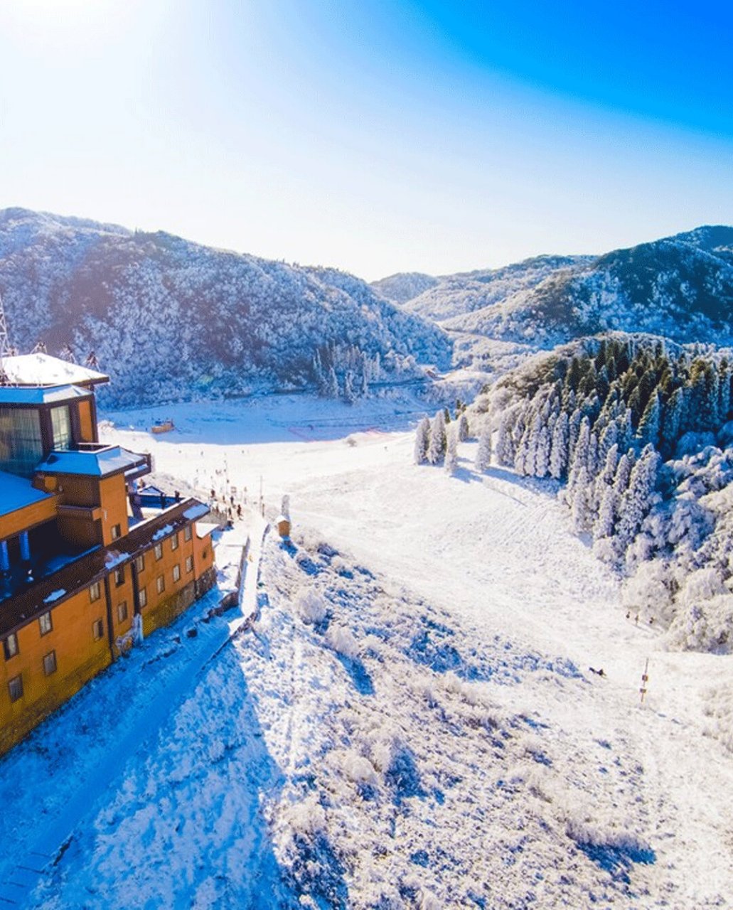 重庆看雪景点图片