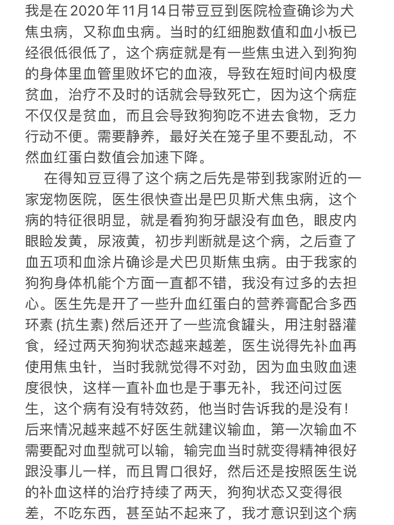 宠物小焦虫,血虫病治疗方法