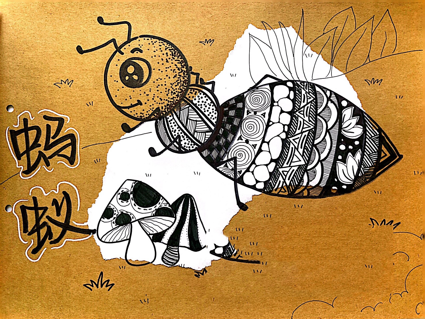 《昆虫记》2/2 蝗虫-中华拉布甲-天牛-蚂蚁-蝉-蛾 动物类线描练习