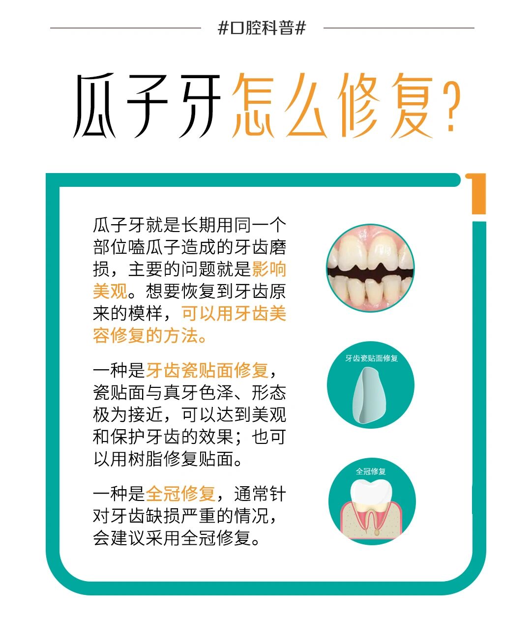 瓜子牙修补图解图片