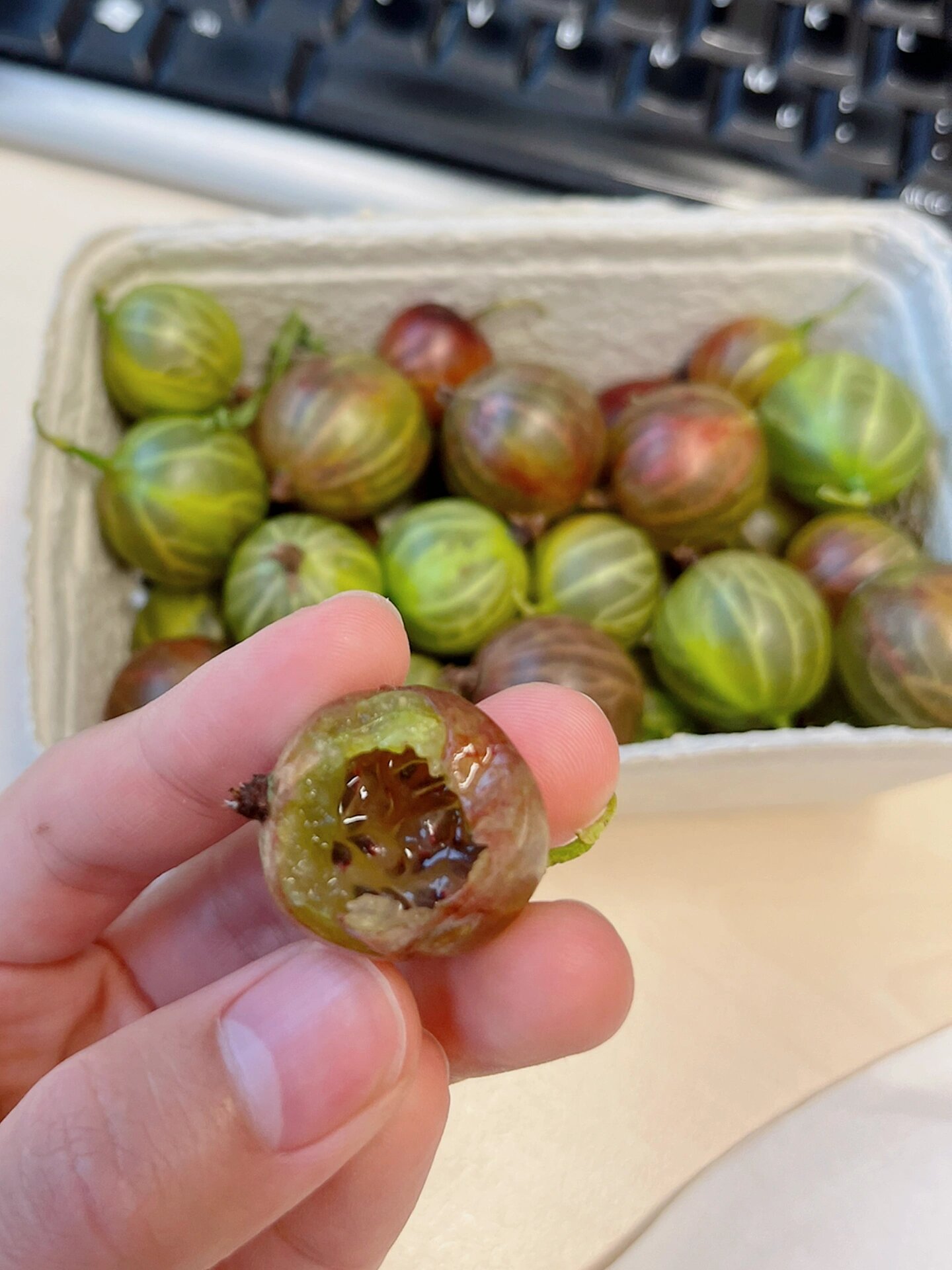 醋栗还挺甜97野葡萄味儿 水分很足,甜甜的,就是里面的籽籽太多,但是