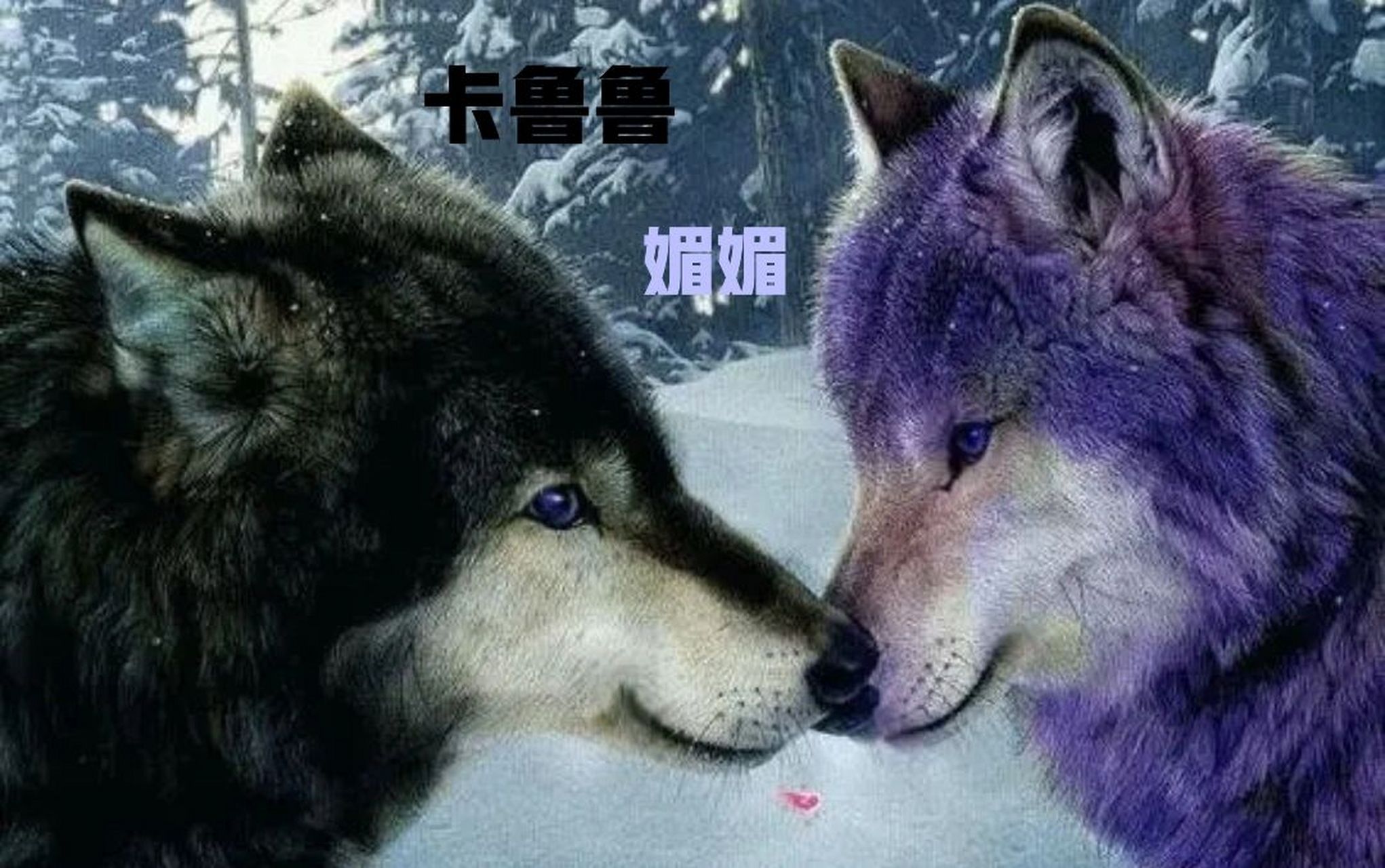 大家想要的狼王梦人物图片来啦!