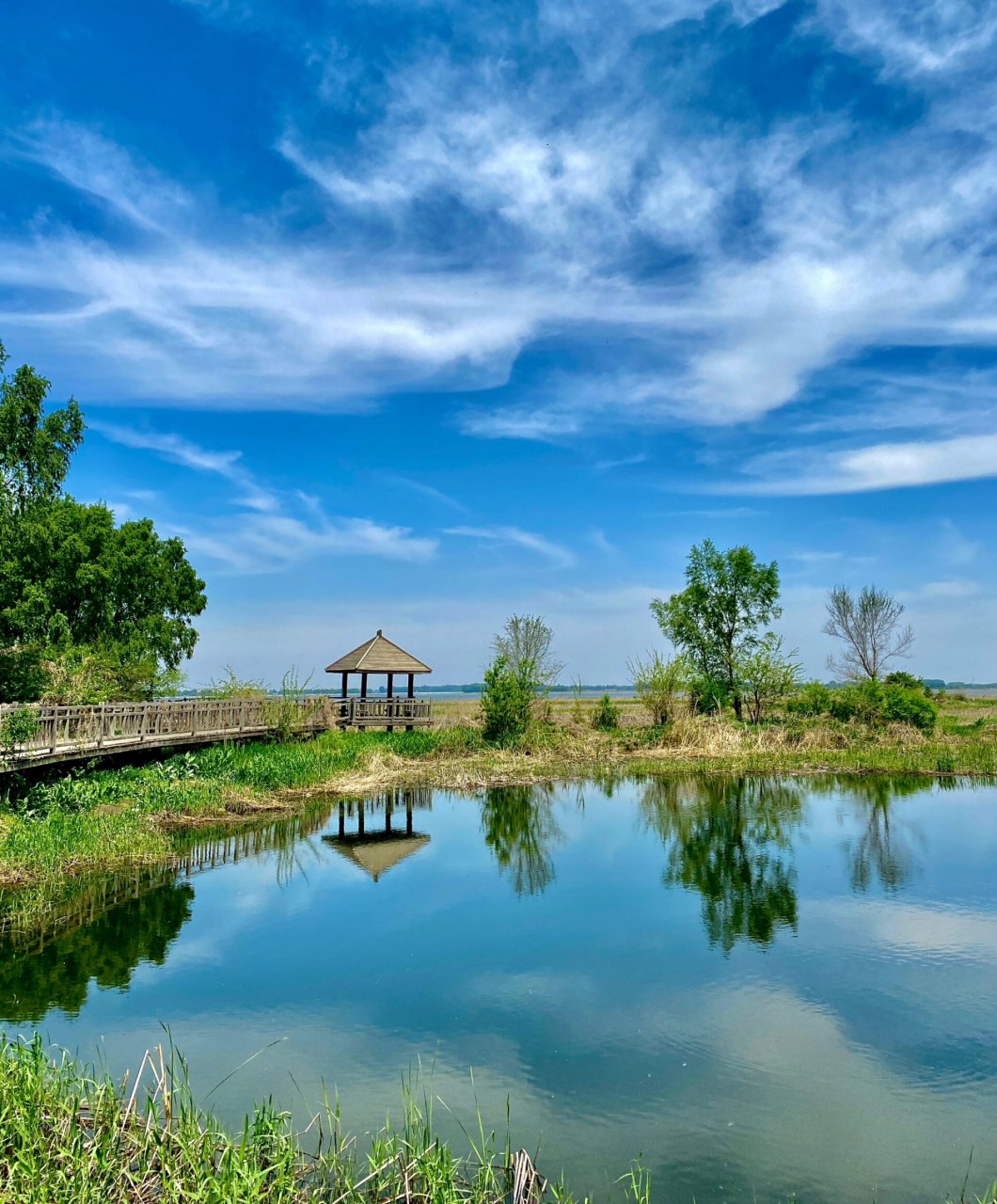 沈阳珍珠湖|为了拍照就是说91 为了拍照差点上不来就是说呜呜呜