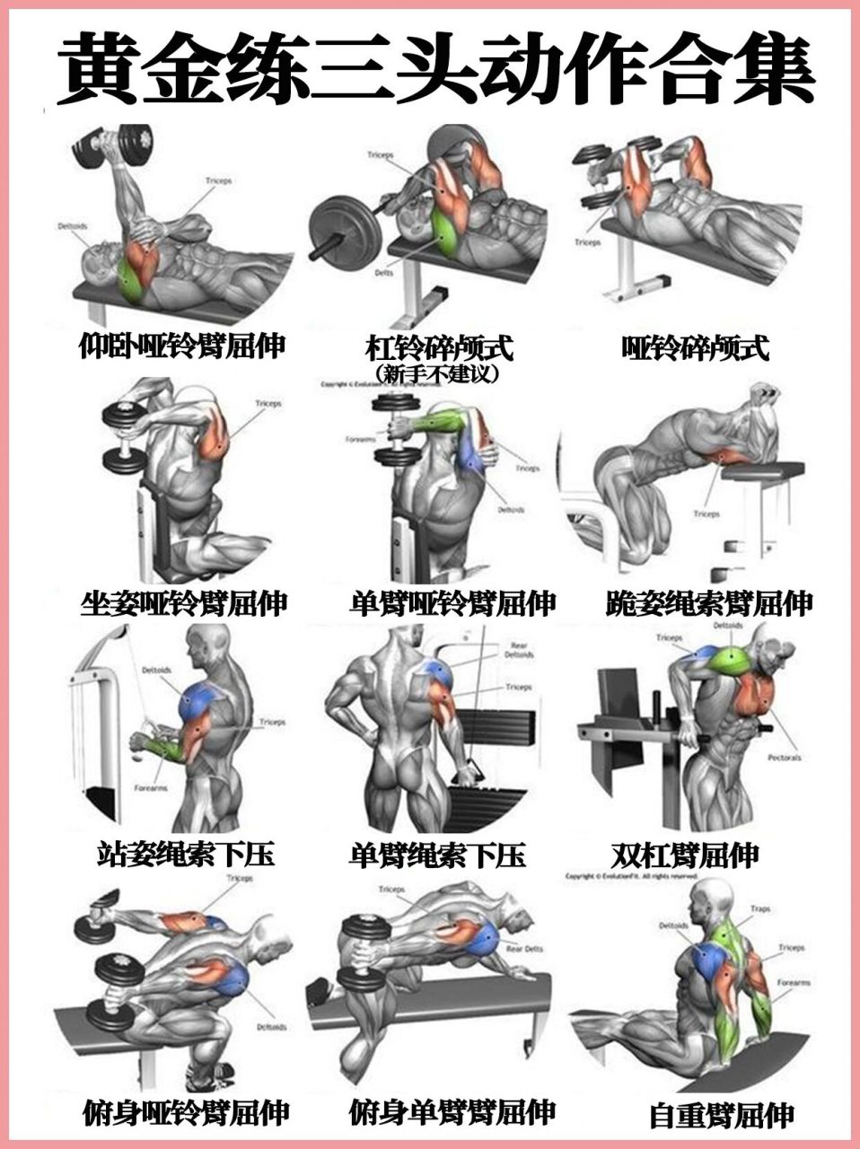 三头肌锻炼方法图片