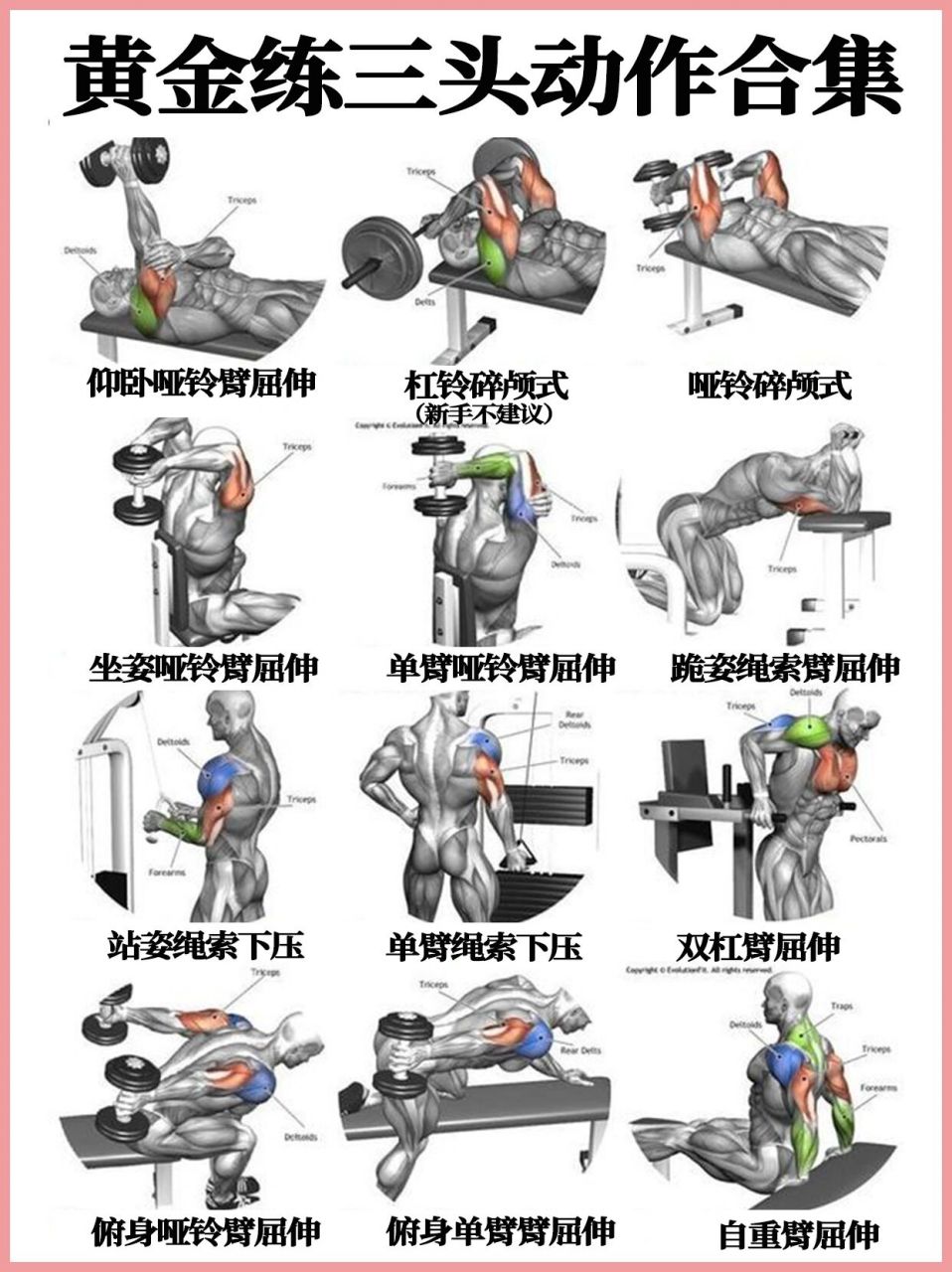练三头肌最有效的动作图片