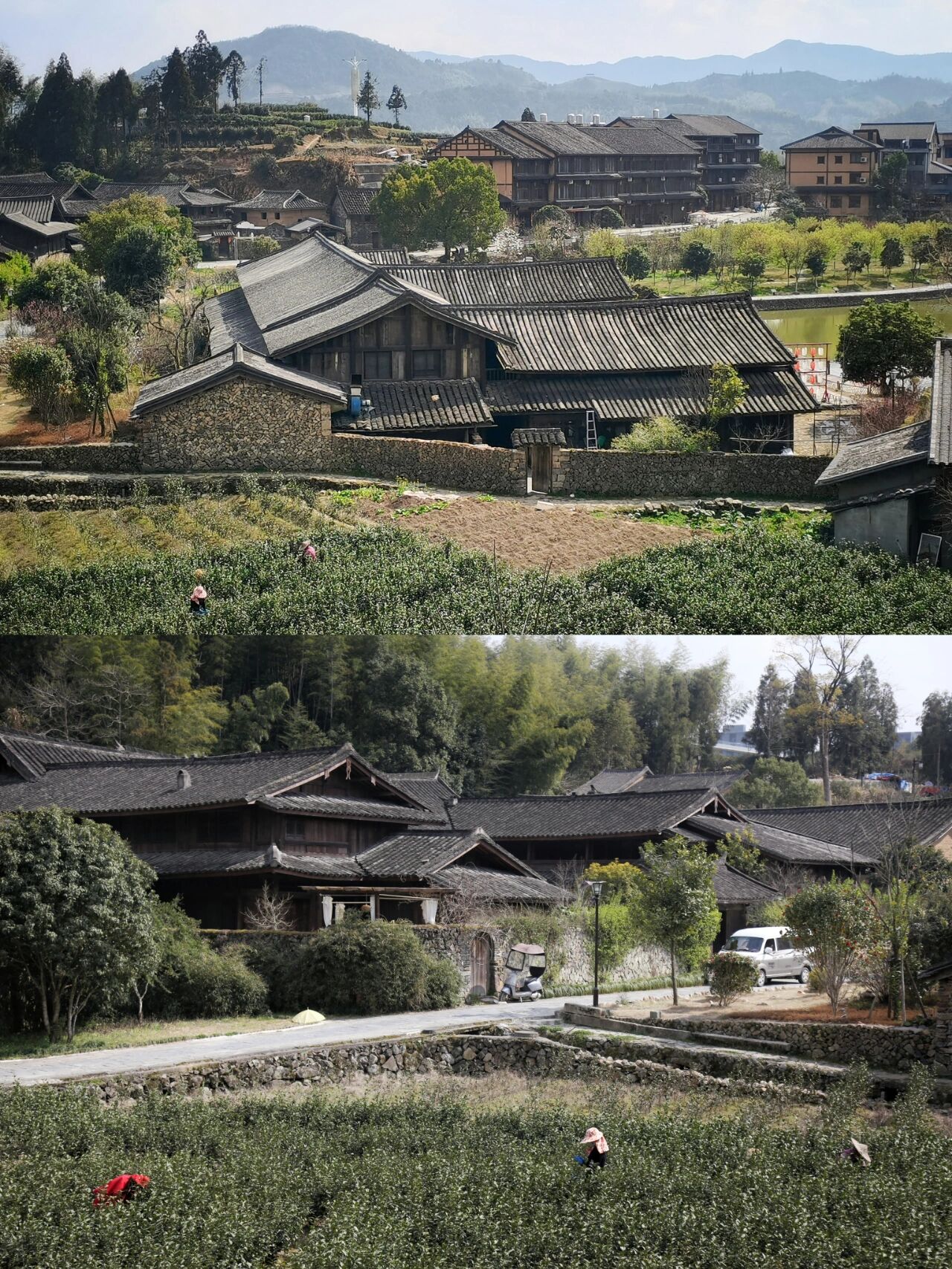 泰顺古村落图片