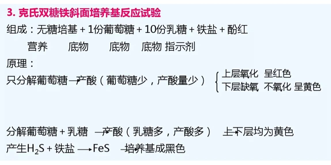 微生物学检验|克氏双糖铁(kia)结果判读