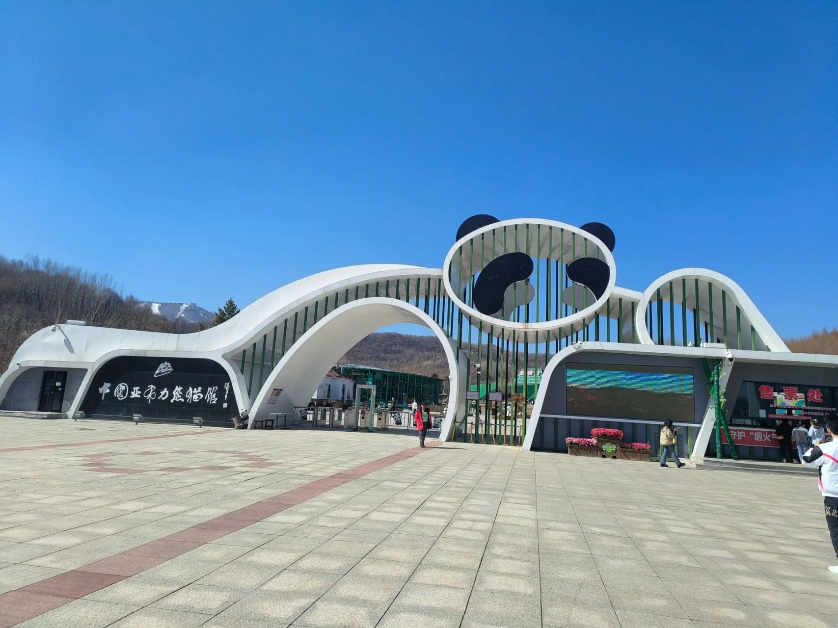 一日游亚布力熊猫馆攻略来喽 此篇文章适合非自驾游想看熊猫的朋友们.