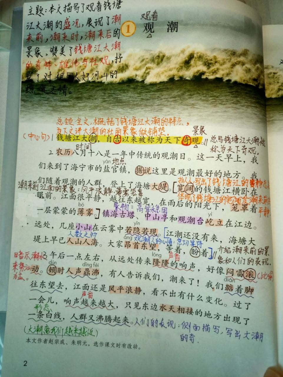 1《观潮》课文批注 #四年级上册语文