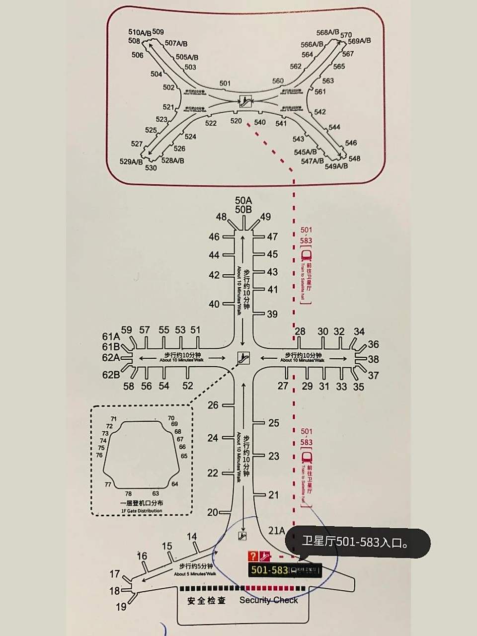 深圳机场登机口分布图 73501--583  登机口需安检后乘捷运小火车