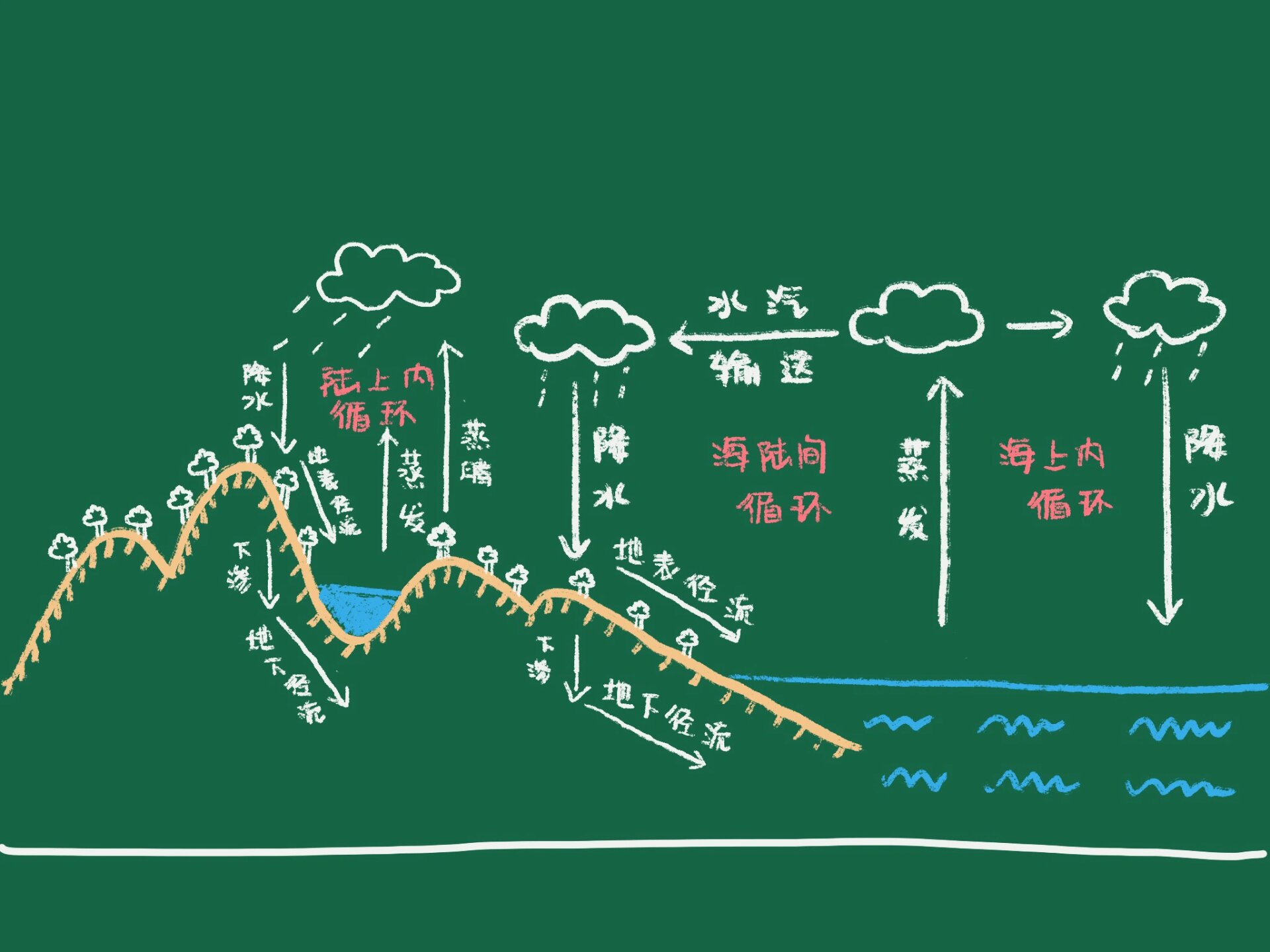 「每日板书打卡📝」day3➡️水循环的过程