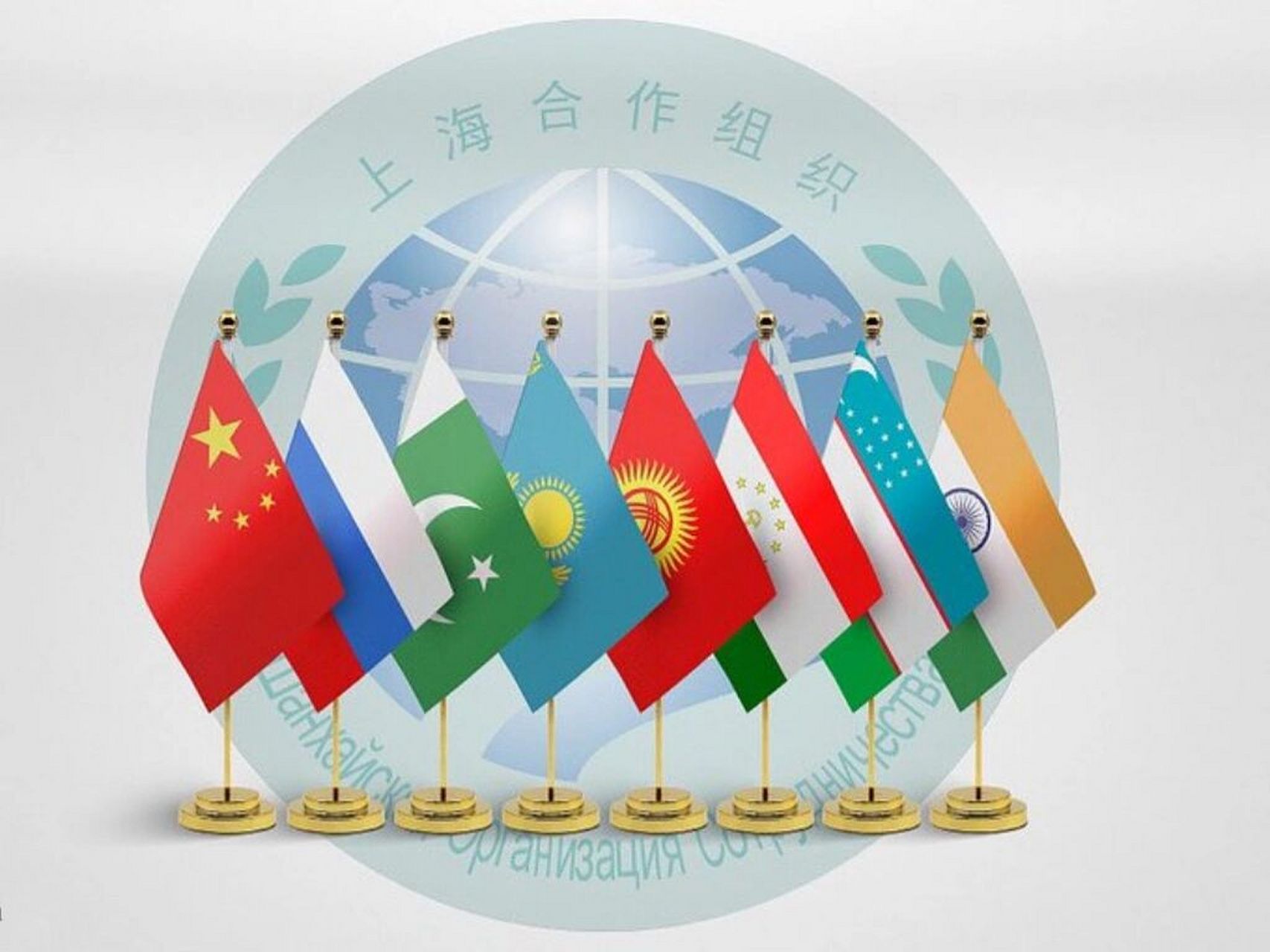 组织:上合组织 #国际组织# #上海合作组织#