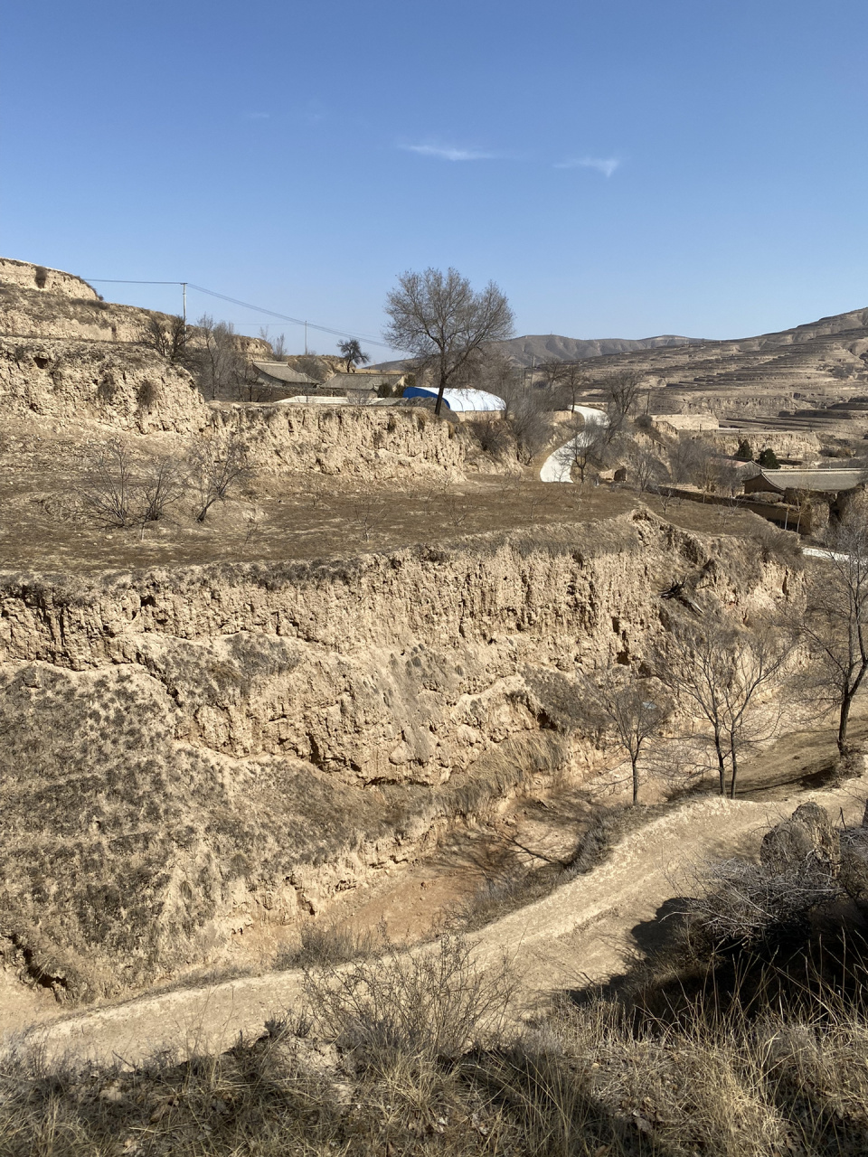 正宗的西北味 去了很多次西北 还是被陇西震撼到 黄土高坡,农村土房