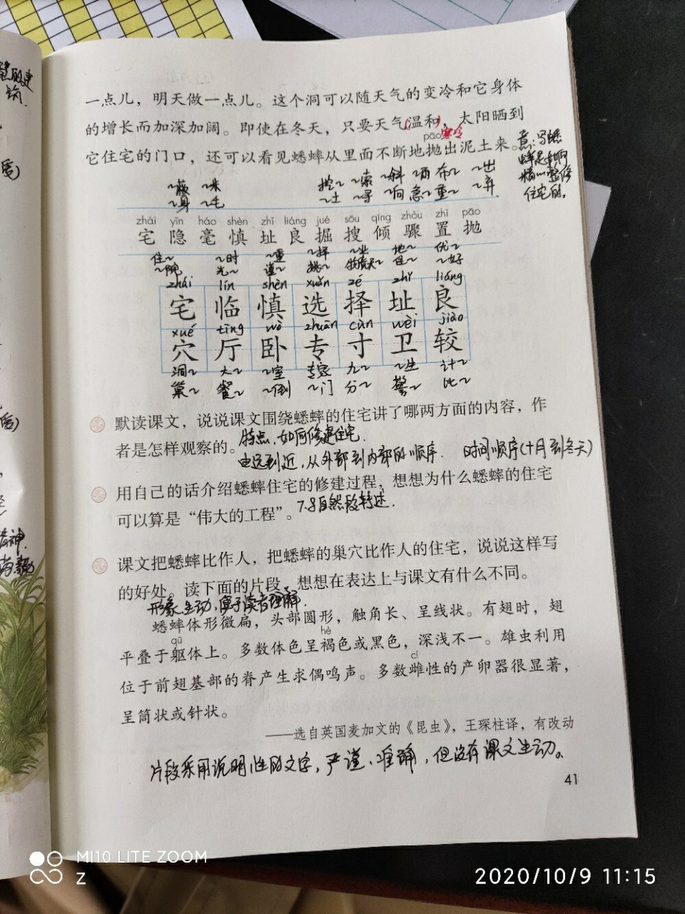 人教版四年级上册语文第11课《蟋蟀的住宅》预习笔记