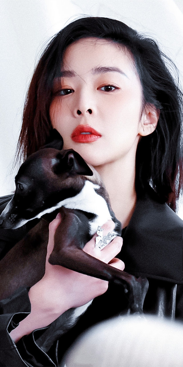 高叶氛围感写真壁纸图集,贼漂亮