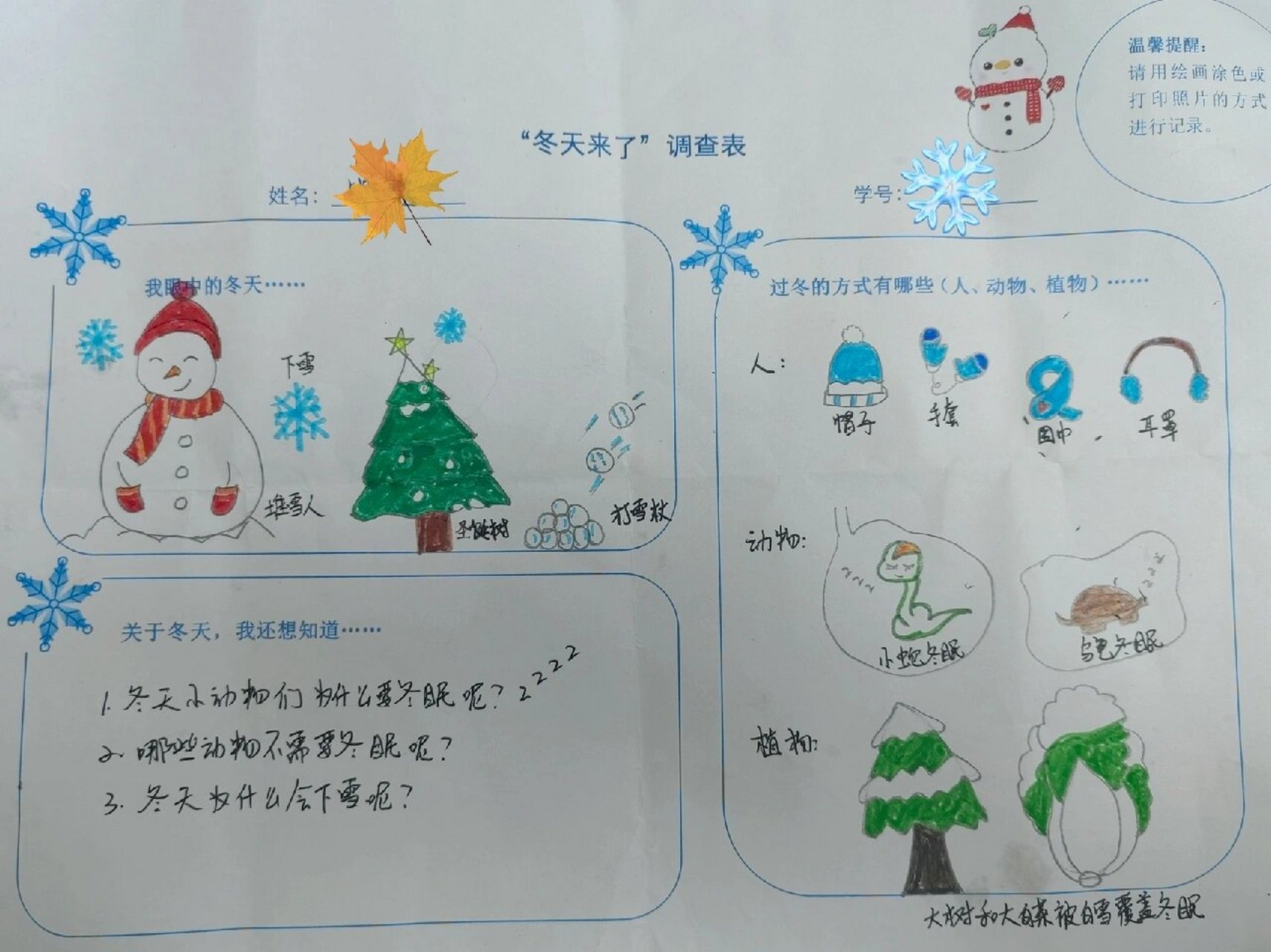 幼儿园冬天来了调查表图片