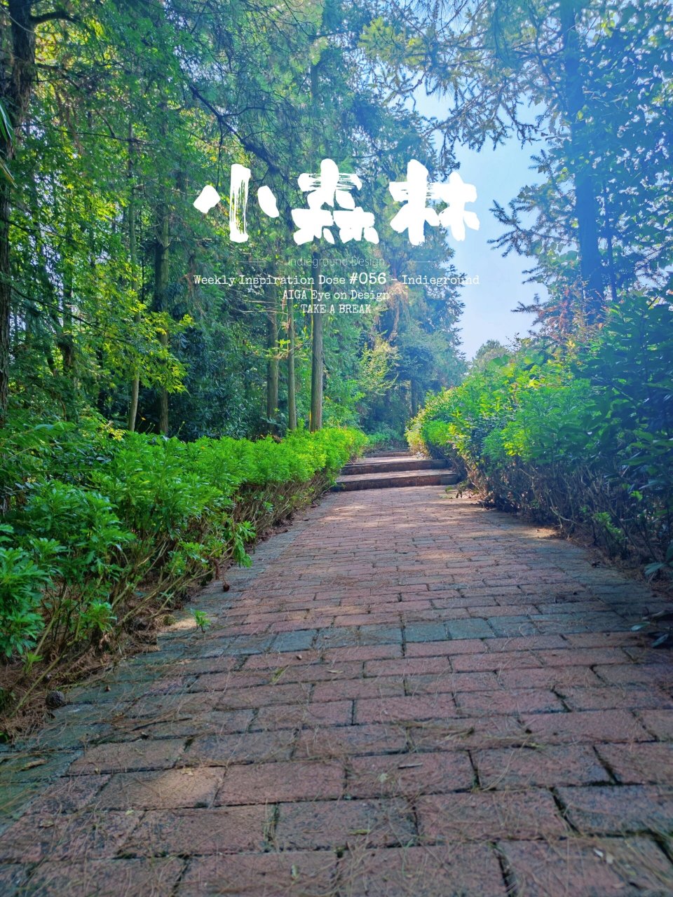 适合在巴南周边一日游的地方 导航太公山就能到,景区风景好车子可以开