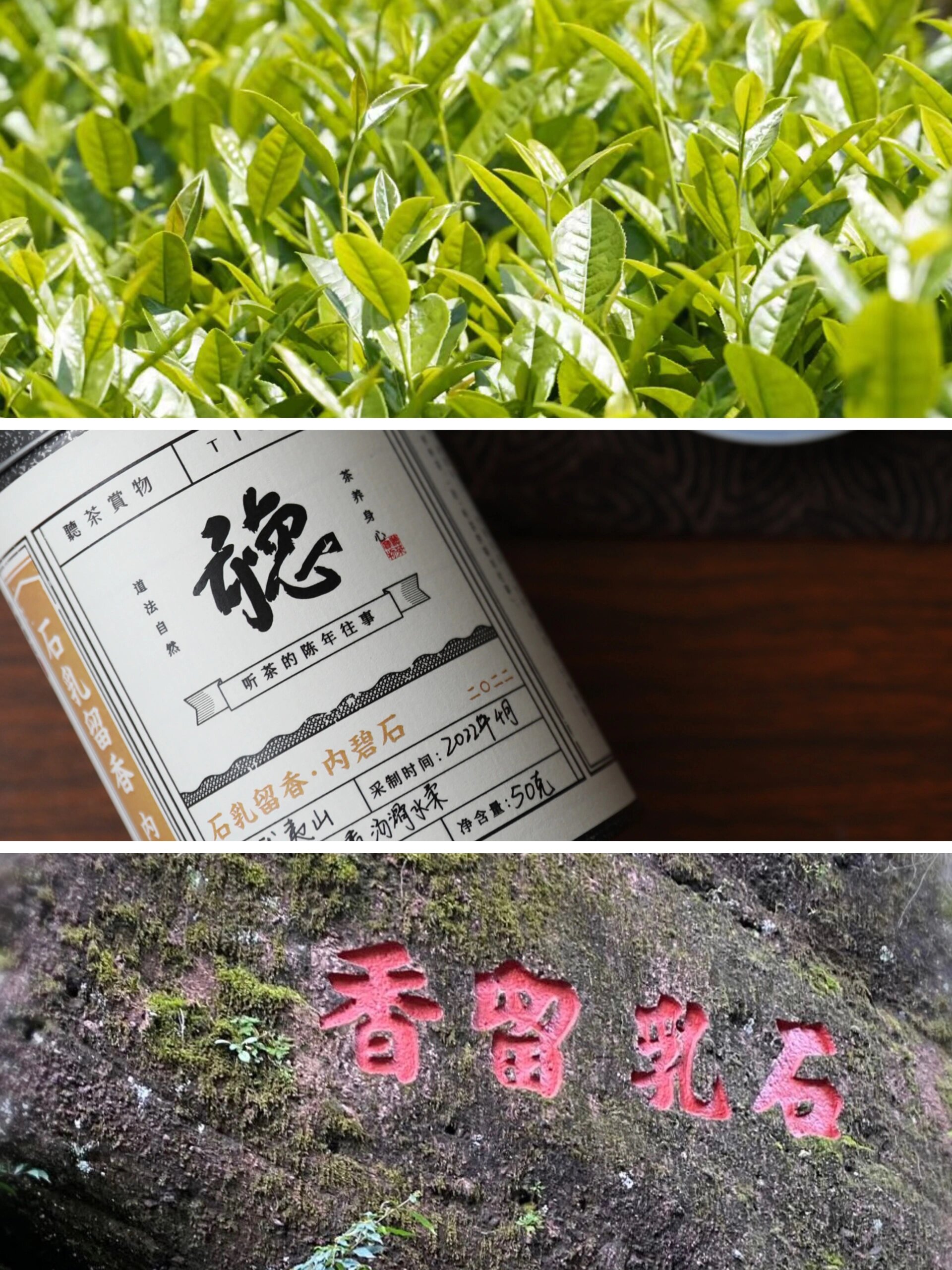 认识武夷岩茶| 石乳——清泉入心,乳香幽幽