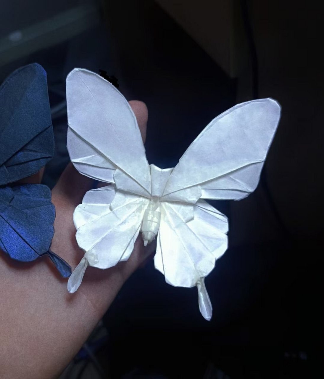 折纸大蓝闪蝶 月光凤蝶 大蓝闪蝶 最近折的一只白凤蝶 蓝闪蝶在凤蝶