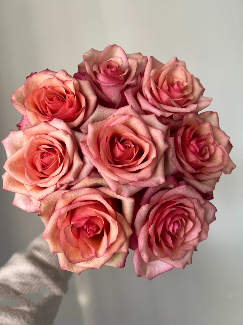 玫瑰分享丨翡翠 玫瑰不一定要开炸才美啊.