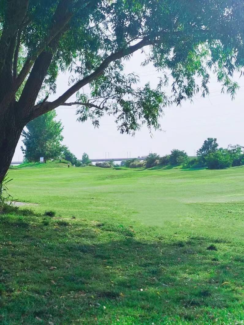 西安北郊超大草坪|宠物友好 附攻略