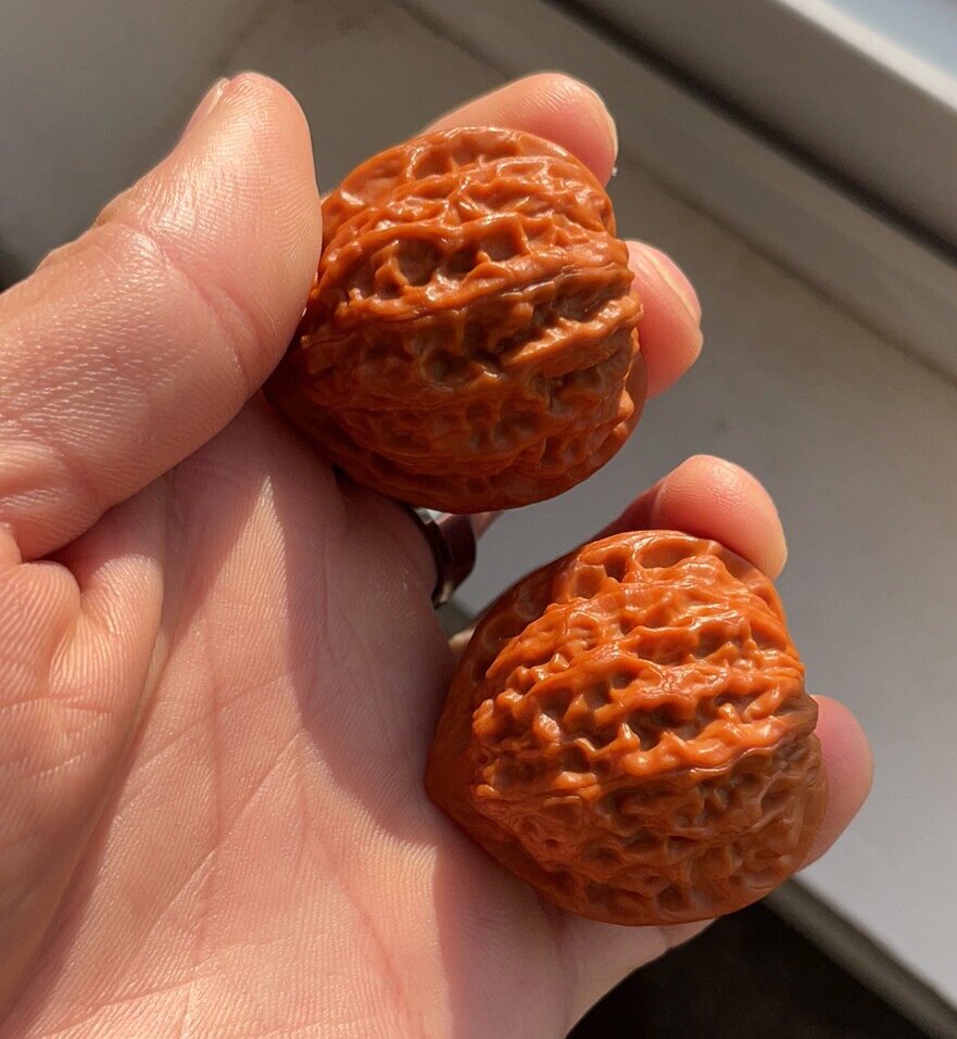 金牛狮子头,盘了近一年的真实感受 金牛又名仙台公子帽,有很多人说不