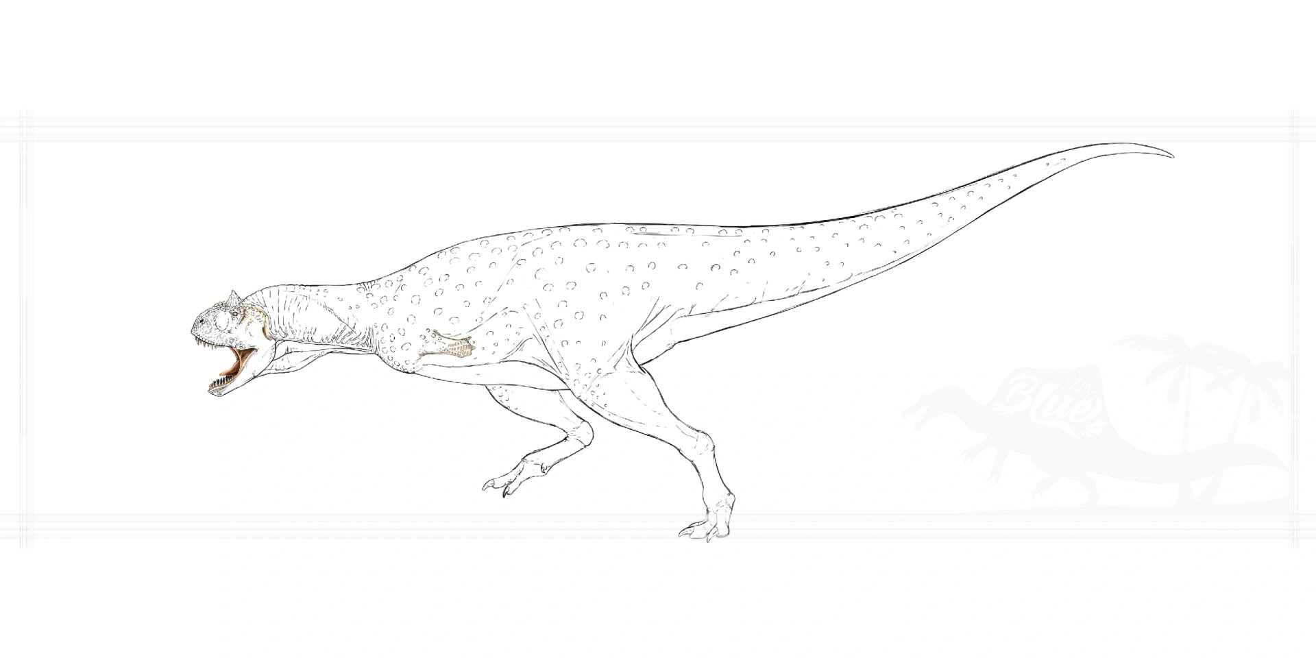 食肉牛龙  萨斯特食肉牛龙 学名    carnotaurus sastrei 拉丁语直译