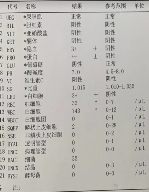 为什么尿白细胞高