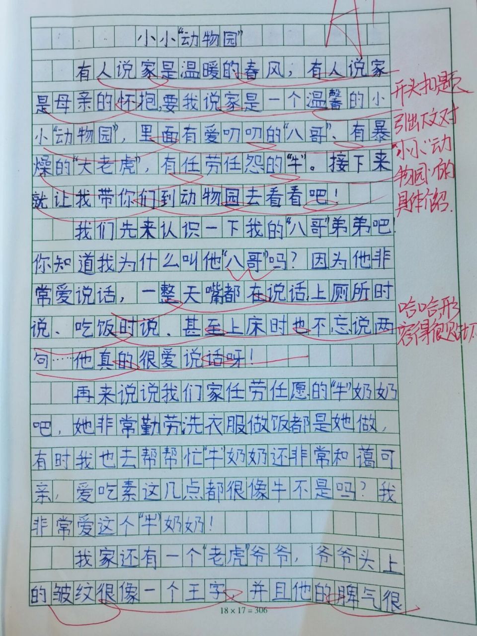 小小动物园100图片